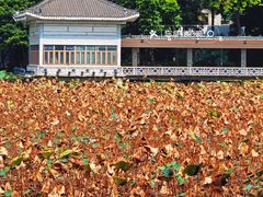 -荔湾湖公园