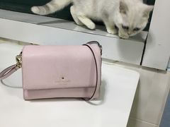 -喵的天空名猫咖啡馆·撸猫·猫舍·用品