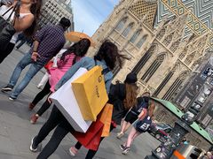 -斯蒂芬主教座堂(Stephansdom)