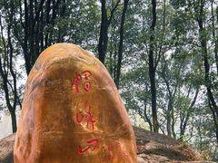 -广州市帽峰山景区