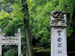 -灵谷景区