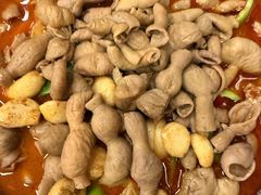-彭记铁锅肥肠(东四总店)