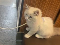 -海底捞火锅(勒泰店)