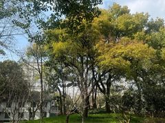 -徐家汇源景区-衡山公园