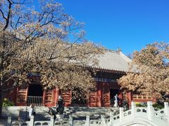 -香山公园