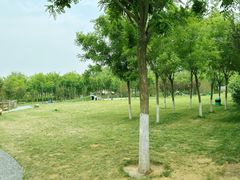 -爪吧宠物乐园·宠物泳池(温榆河示范区店)