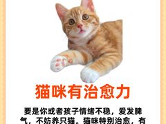 -守诺宠物医院·眼科· 特色牙科·异宠专科(虹口店)