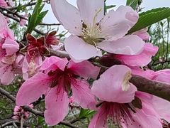 -汉长安城未央宫国家考古遗址公园