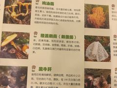 -太婆天府山珍酒楼(亚运村店)