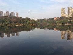 -重庆彩云湖湿地公园