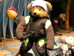 -成都泰迪熊博物馆