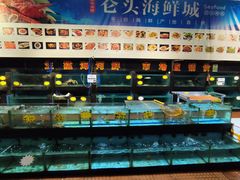 -仑头海鲜城(仑头环村南路店)