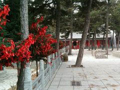 -沈阳辉山风景区