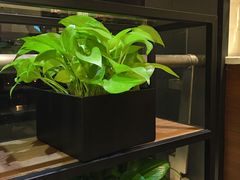 -混果汁(喜荟城店)