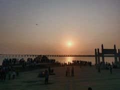 -宝安西湾红树林湿地公园