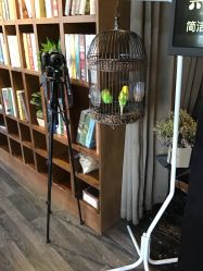 -木北造型