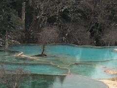 -黄龙山原始森林景区