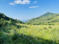 -白草畔自然风景区