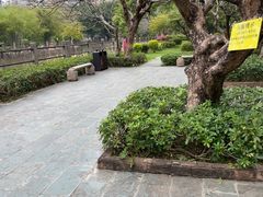 -晓港公园