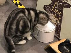 -咖法森林·咖啡  酒吧(天河店)