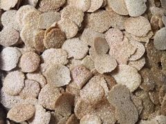 -芝士牛炭火烤肉