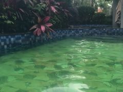 -喜运来大酒店温泉