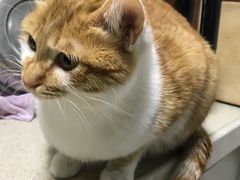 -芭比堂动物医院广州顽皮分院
