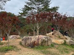-广州市帽峰山景区