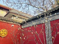 -西安市广仁寺