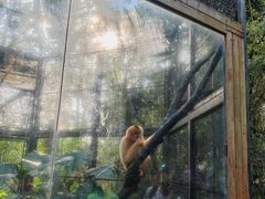 -海南热带野生动植物园