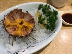 海胆-东京屋(武定路店)