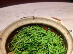 -天辣(金桥啦啦宝都店)