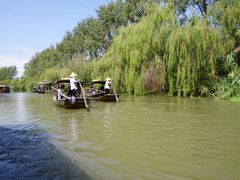 -溱湖国家湿地公园