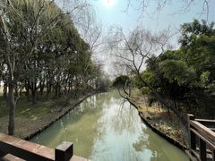 -同里国家湿地公园