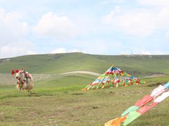 -日月山景区