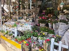 -循礼门鲜花花市(武汉循礼门店)