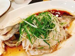 清蒸鲈鱼-和乐喜宴海鲜酒家(骏荣广场店)
