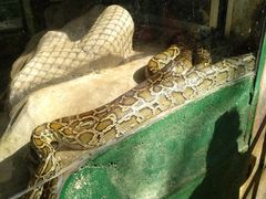 -广东茂名森林公园