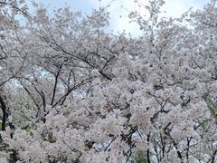 -杭州少年儿童公园