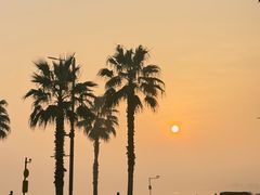 -东钱湖旅游度假区