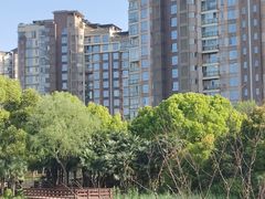 -新江湾城公园