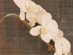 -明湖楼·经典鲁菜(大明湖店)