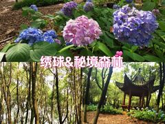 -凤凰沟景区