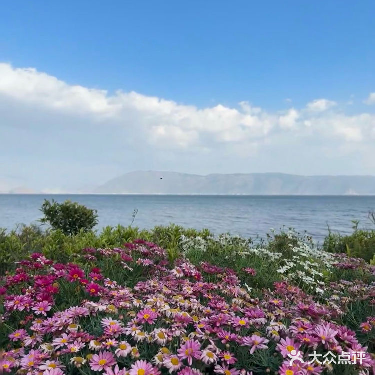 在这个咖啡店看着洱海发半天呆