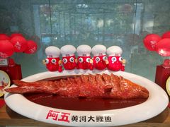 -阿五黄河大鲤鱼(英协路店)