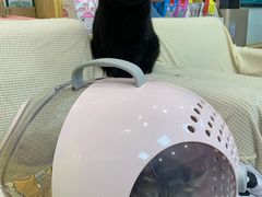 -中农大我爱我爱动物医院·核磁CT·猫病·24小时夜诊中心(石佛营店)