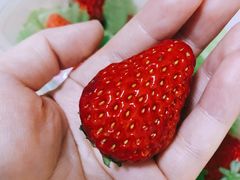 -PAGODA百果园(深圳天琴阁店)