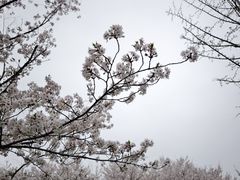 -东湖生态旅游风景区