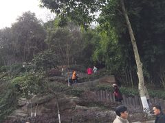 -重庆彩云湖湿地公园