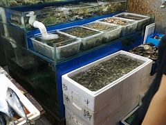 水产区-金宝生活市场(东五环店)